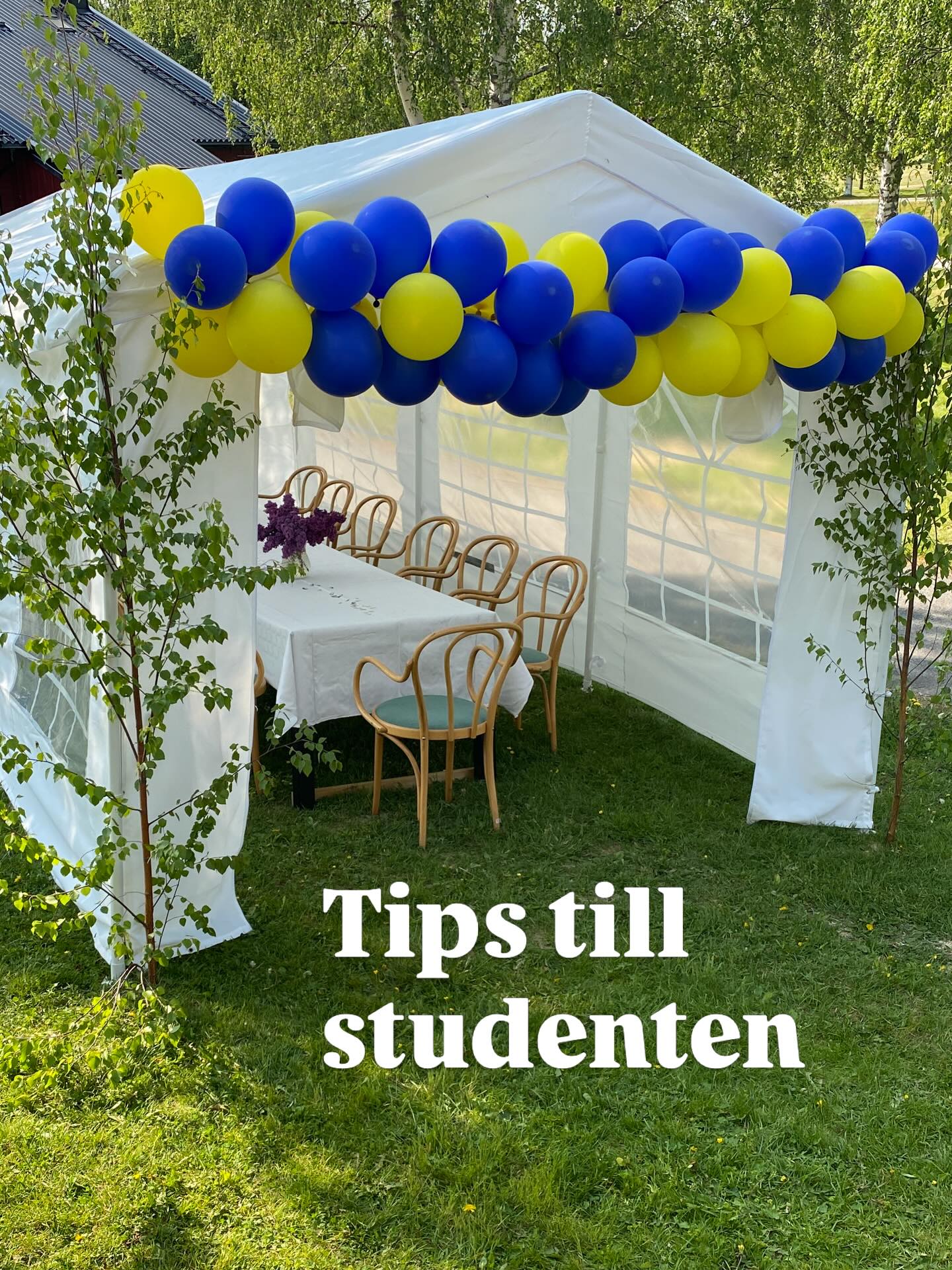 TIPS TILL STUDENTEN 🎓

Åren går snabbt och nu har vi en student igen 💙💛

Delar några tips från vårt förra firande 🎉 

Pynt
Välj en färg och gå på det temat. Vi valde blått och gult på ballonger och dukning. Köp ett ballongband med små hål i för ballongdekorationer. Ett enkelt sätt att skapa fina bågar eller girlanger. Finns att köpa lite varstans, såg t.ex. att Dollarstore har.

Servetter
Köp vita lite tjockare servetter, vira in besticken och knyt ihop med blågula band. Känns lyxigt och blir fint.

Porslin
Om du inte har tillräckligt många tallrikar och vill ha en annan känsla än papperstallrikar, låna ihop porslin och glas eller hyr. Det blir visserligen mer disk, men vi stoppade ner allt i en stor back och tog hand om disken dagen efter.

Mat
Förbered så mycket som möjligt i förväg. Vi valde kall buffé och lagade lite eftersom. En del saker går till och med att göra långt innan och frysa in. All mat hittar ni i mina höjdpunkter, under Buffé.

Har du någon student i år? Upp med en hand 🙋🏼‍♀️

#student #studentmottgning #sommarfest #buffé